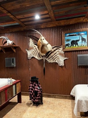 Rockin’ Star Ranch by null