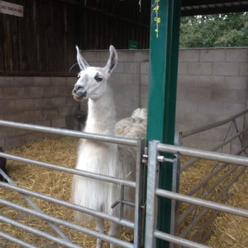 Reddish Vale Farm - Farms Near Me - Stockport, XGM