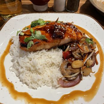 LAZY DOG RESTAURANT & BAR - Updated December 2024 - 1566 Photos & 1640