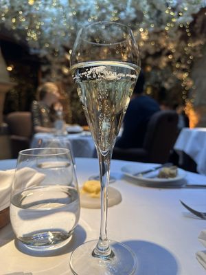 Clos Maggiore by null