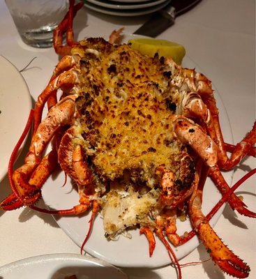 New York Prime by null