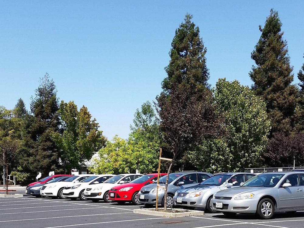 SMARTLEASE 20 Reviews 830 Stewart Dr, Sunnyvale, California Car Dealers Phone Number Yelp