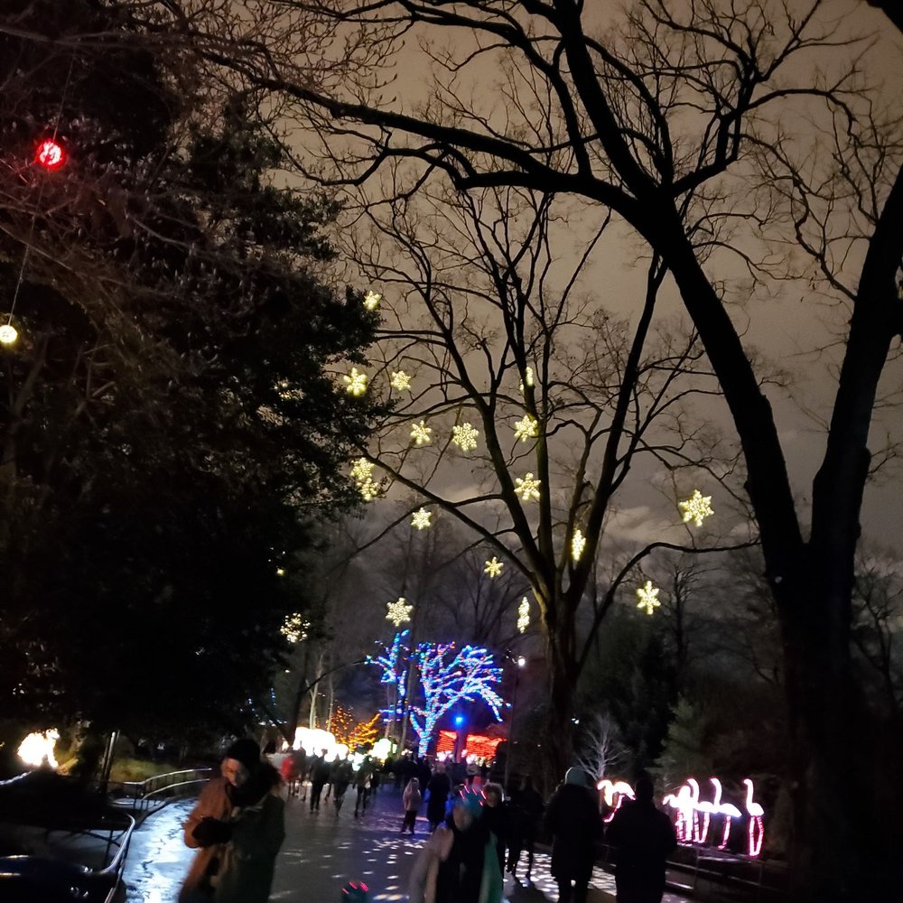 ZooLights - Zoos Near Me - Washington, DC, District of Columbia