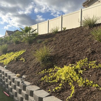 Ceron Landscaping - Backyard hill work. Hard labor. - Tree Services Near Me Ceron Landscaping - Backyard hill work. Hard labor. - Tree Services Near Me