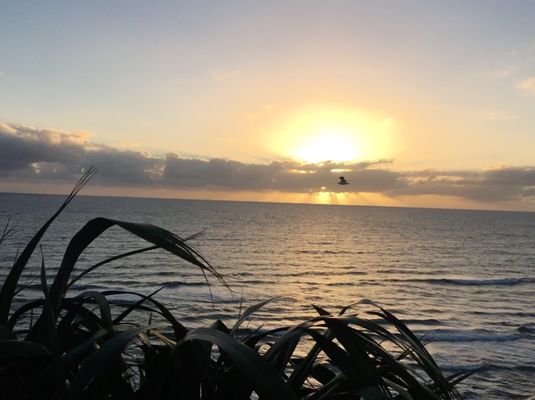 Photo of Muriwai Beach - Auckland, AUK, NZ. #sunset #muriwaiBeach #Y2K18