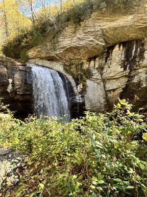 Looking Glass Falls by null