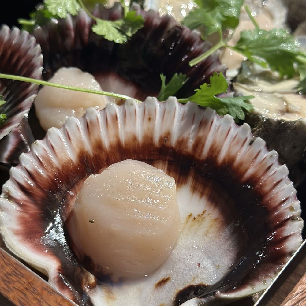 Sea Wagyu House - Scallops - Barbeque Near Me - Milpitas, California Sea Wagyu House - Scallops - Barbeque Near Me - Milpitas, California