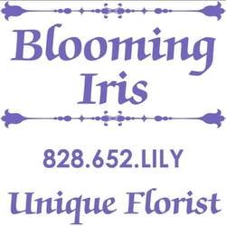 Blooming Iris