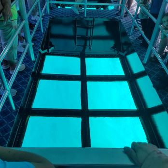 Key Largo Princess Glass Bottom Boat - The glass bottom viewing area. - Boating Near Me - Key Largo, Florida Key Largo Princess Glass Bottom Boat - The glass bottom viewing area. - Boating Near Me - Key Largo, Florida