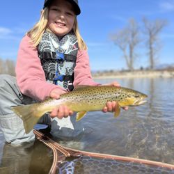 R R 406 Fly Fishing Guides - Bitterroot River Brown Trout
