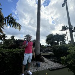 Palmetto Mini Golf
