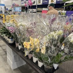 Lowe's Home Improvement