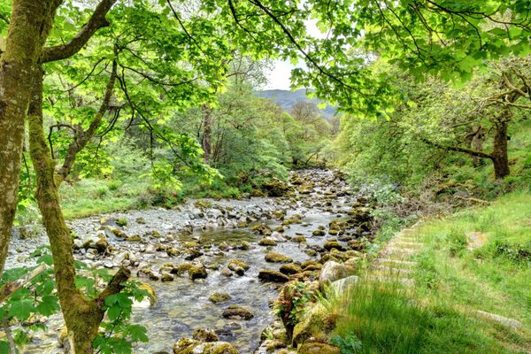 YHA Borrowdale by null