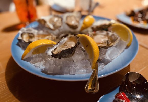 Sally's Waterfront Dining by null