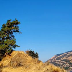 Mosier Twin Tunnels