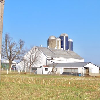 Abe's Buggy Rides - Tours Near Me - Bird In Hand, Pennsylvania