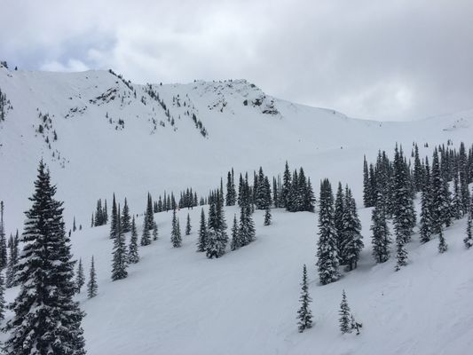 Kicking Horse Mountain Resort by null