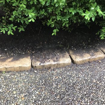 Aardvark Bark Blowing & Landscape Services - Landscaping Near Me - Tacoma, Washington Aardvark Bark Blowing & Landscape Services - Landscaping Near Me - Tacoma, Washington