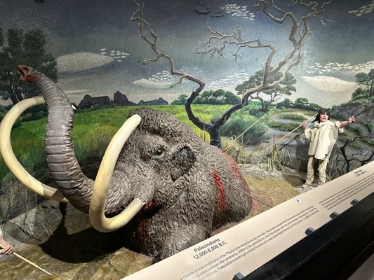 El Paso Museum of Archaeology by null