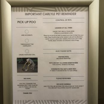 Carlyle Apartments - Poorly enforced pet rules - Apartments Near Me - Irvine, California Carlyle Apartments - Poorly enforced pet rules - Apartments Near Me - Irvine, California