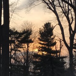 Brookdale Dog Park