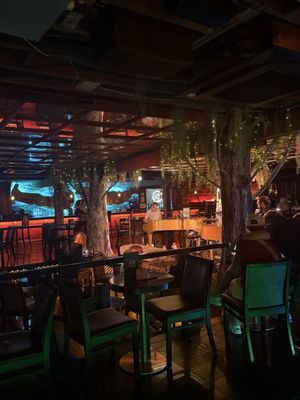 Lainey Wilson's Bell Bottoms Up by null