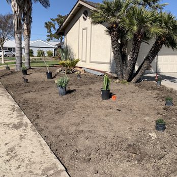 Favor Tree Care - Work in progress - Tree Services Near Me - Santa Ana, California Favor Tree Care - Work in progress - Tree Services Near Me - Santa Ana, California