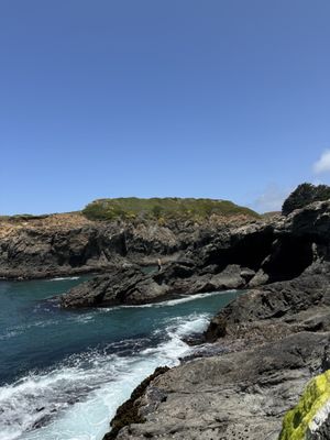 Mendocino Headlands State Park by null