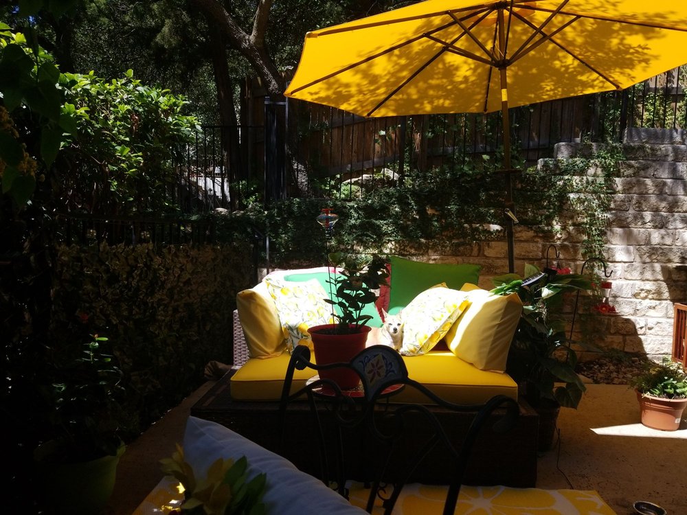 WILD BIRD CENTER OF LAKEWAY Updated September 2024 12 Photos 2127