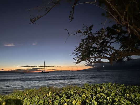 Aloha Mixed Plate by null