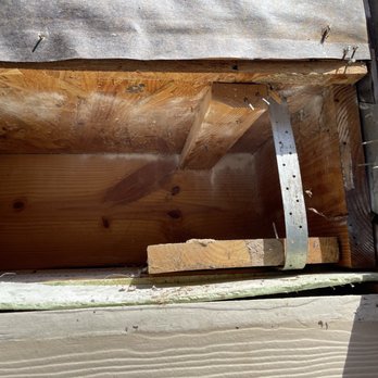 Raul The Bees Guy - Wall cavity after bee and hive removal with spray down. - Pest Control Near Me Raul The Bees Guy - Wall cavity after bee and hive removal with spray down. - Pest Control Near Me
