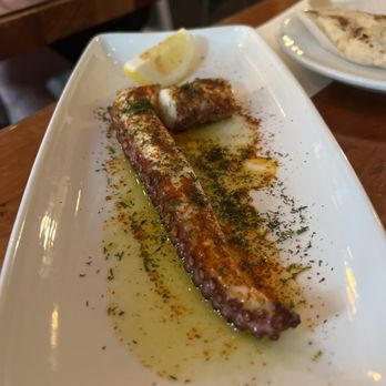 Mediterranean Exploration - Octopus - Mediterranean Near Me - Portland, Oregon Mediterranean Exploration - Octopus - Mediterranean Near Me - Portland, Oregon