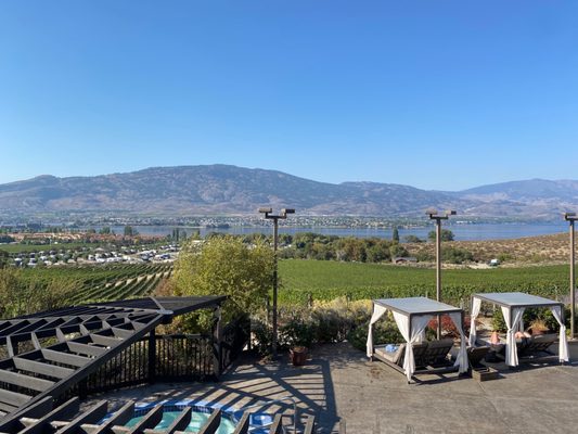 The Bear, The Fish, The Root & The Berry by null