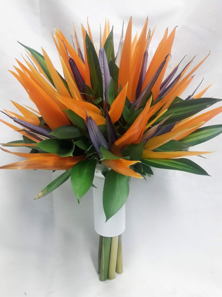 A DUTCH MILL FLOWER SHOP Updated August 2024 13 Photos 41