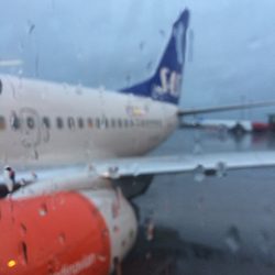 SAS Scandinavian Airlines