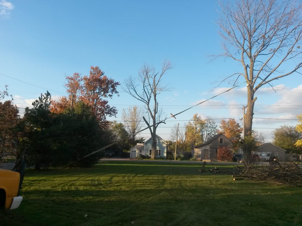 YODER TREE SERVICE Updated July 2024 10 Photos 4764 E 800 N