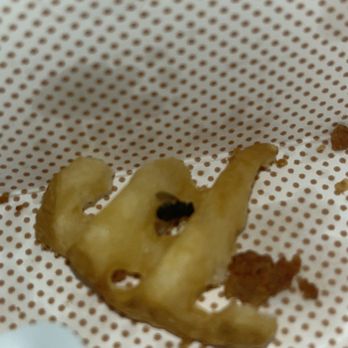 Chick-fil-A - A dead fly - Fast Food Near Me - Ontario, California