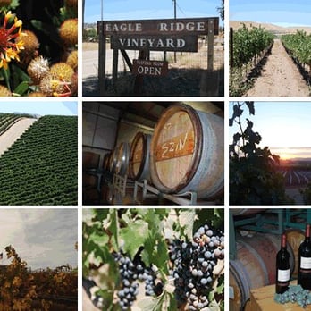Eagle Ridge Vineyard - Wineries Near Me - Livermore, California