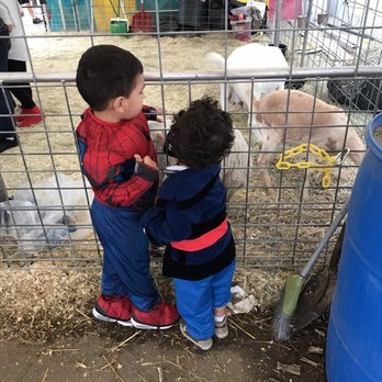 Shawn's Pumpkin Patch - Pumpkin Patches Near Me - Culver City , California