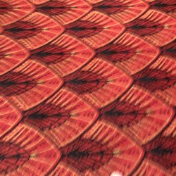 Eagle Theater - Beautiful art deco carpet