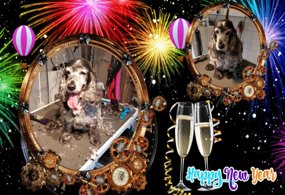 THE MOUNTSORREL GROOM ROOM 49 Photos 38 Rothley Road, Loughborough