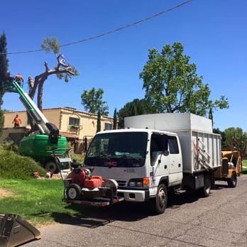 Turning Leaf - Tree Services Near Me