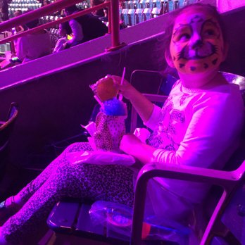 Denver Coliseum - Found this tiger cub on the way in,  Apparently it likes pretzels with cheese and drinks ice cones - Stadiums & Arenas Near Me - Denver, Colorado