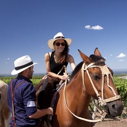 The Tintos - Horse riding in the Uco Valley vineyards - Crazy Wine tour - "Fresh look at Uco Valley"