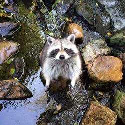 Aqua Zoo Friesland