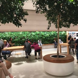 Plant wall with seating