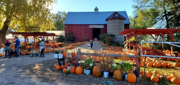 AXDAHL’S GARDEN FARM & GREENHOUSE - Updated October 2025 - 22 Photos