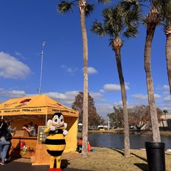 Florida State Fairgrounds - Cute little bee