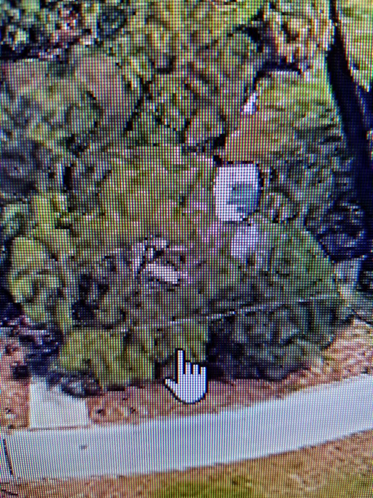 Slide of Roofing Solutions of Tampa