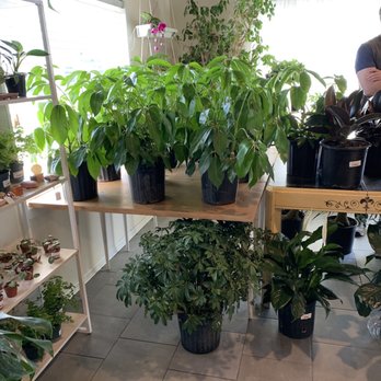 Sheelytown Market - Nurseries & Gardening Near Me - Omaha, Nebraska Sheelytown Market - Nurseries & Gardening Near Me - Omaha, Nebraska